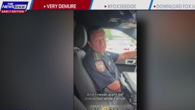 Harris County sheriff shares very 'demure' message