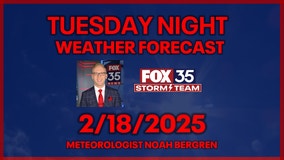 Orlando Weather Forecast: Tuesday Night, February 18th, 2025