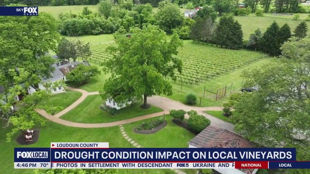 Drought conditions impacting local vineyards