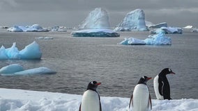 Photographer Rick Sammon shares stunning images from Antarctica expedition