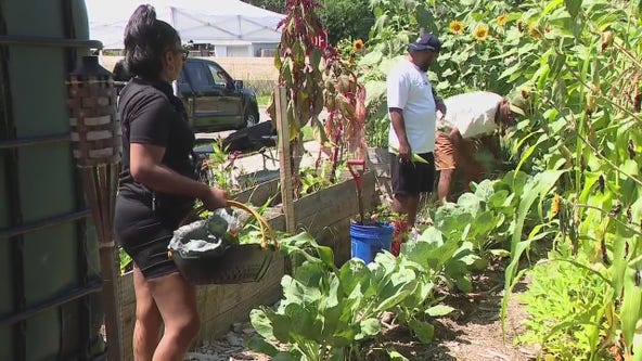 Pilot program to help provide water to urban farmers