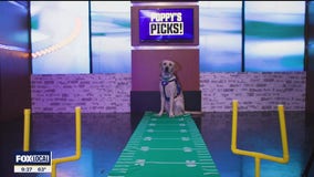 Poppy's Picks: Cowboys vs Texans