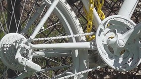 'Ghost bike' memorial honoring student must go