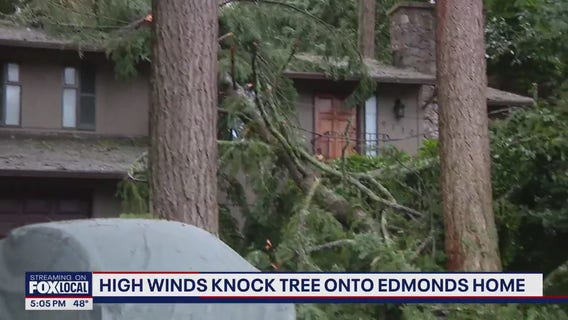 High winds knock tree onto Edmonds home
