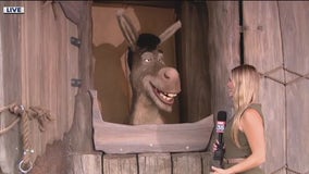 Meet Donkey at DreamWorks Land at Universal Orlando