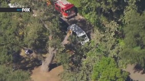 Tree falls at Malibu summer camp, children injured