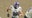 2025 POTW 8: Georgetown RB Jett Walker