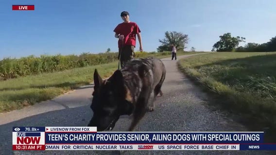 Study finds yet another benefit of having a dog in the family