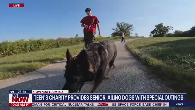 What is Bravecto Quantum? FDA approves 12-month flea and tick treatment