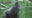 Check out Brookfield Zoo's Tropical Forests exhibit