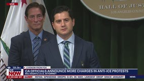 LA ICE protests: New arrests, charges announced