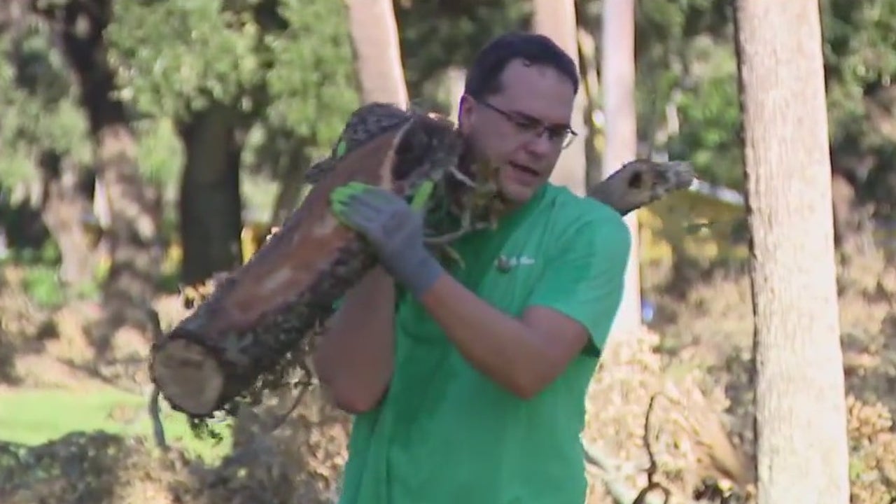 Posthurricane cleanup at DeSoto Park FOX 13 Tampa Bay