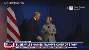 Trump names Susie Wiles as chief of staff; 1st woman to ever hold the role