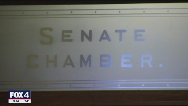 Texas bill increasing punishments for abortion pill distribution sparks Senate debate