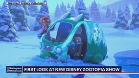 First look at Zootopia, Holiday decor at Disney World