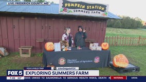 Pumpkin recipes with Summers Farm