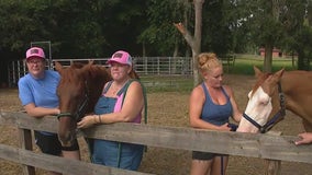 Charley visits Stricker Sunshine Rescue Ranch