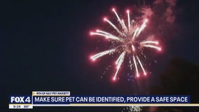 Tips to keep your pets calm during fireworks