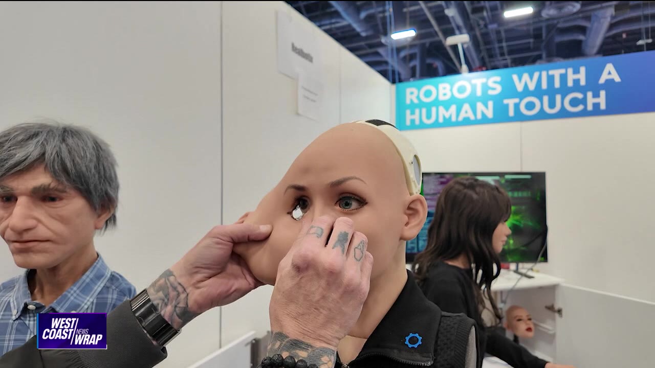 Emotional support robots | West Coast Wrap