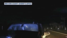 Sheriff speaks after alleged drunk driver crashes into deputy