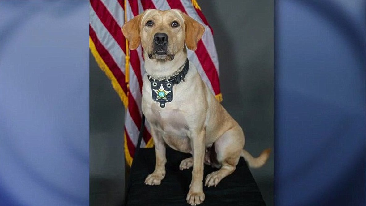 K-9 detects loaded gun at Leesburg High School