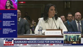 Senate confirms Tulsi Gabbard as top intelligence official