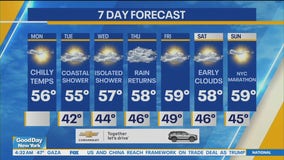 NYC weather forecast