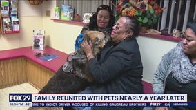 Family reunited with emotional support pets after nearly a year