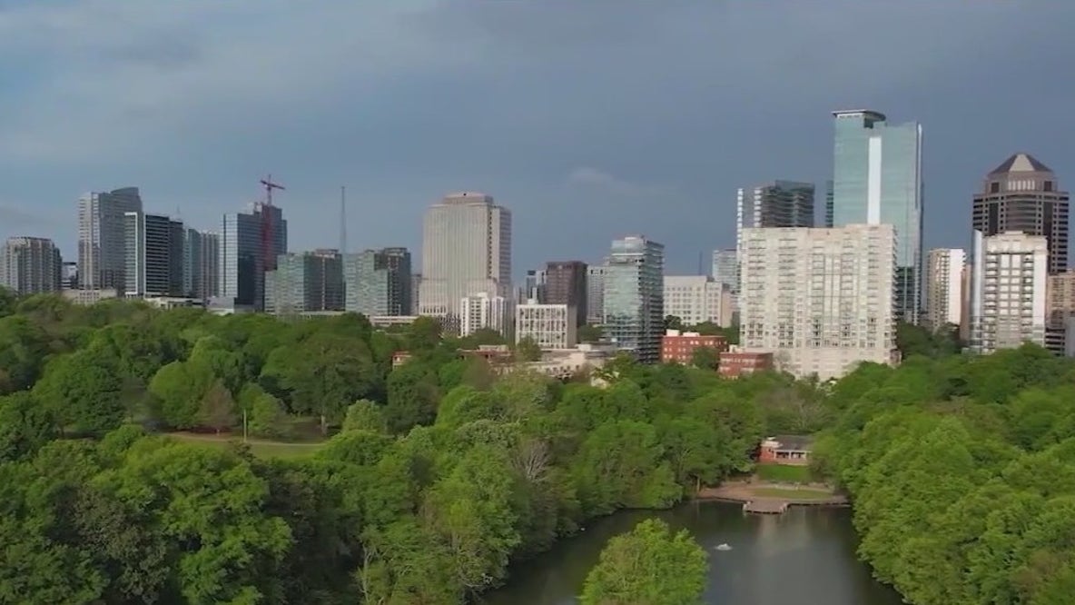 Measure looks to protect Atlanta's trees