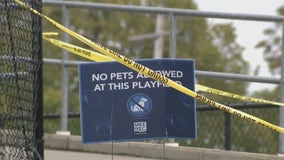 Flag football game fatal shooting, man charged