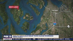 Health officials issue toxic algae warning in Pierce County