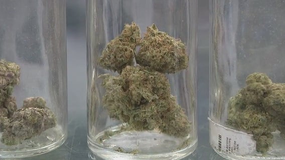 Marijuana industry hopes 420 on Easter Sunday provides cannabis revival