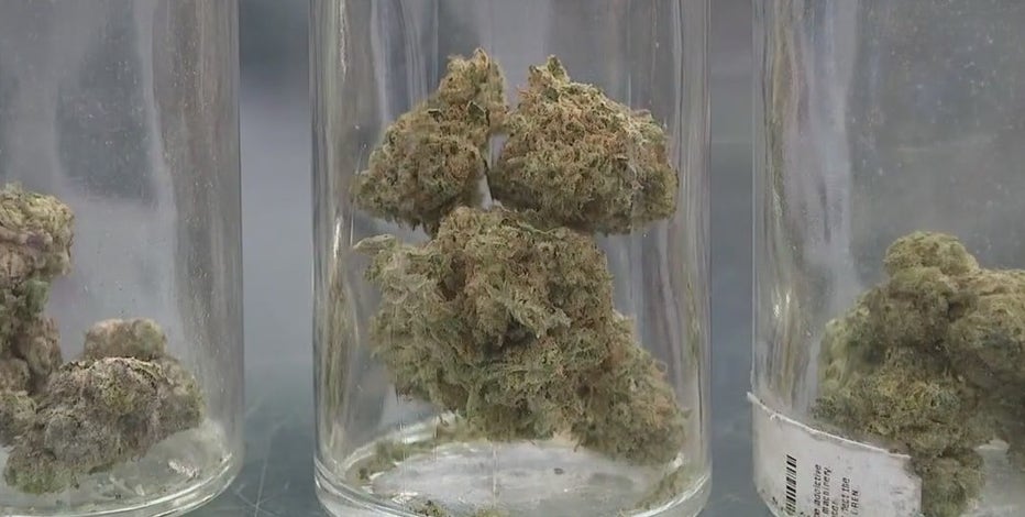 Marijuana industry hopes 420 on Easter Sunday provides cannabis revival