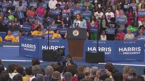 DNC opens virtual voting on Harris nomination