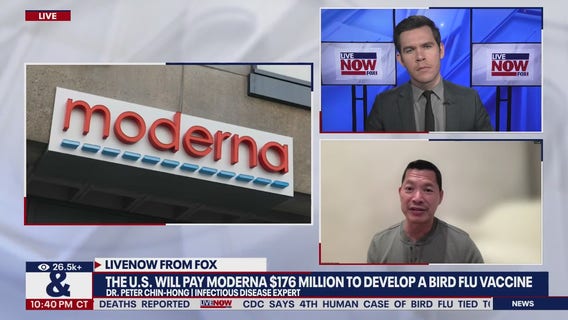 Bird flu detected in pig for 1st time in US: What it means for humans