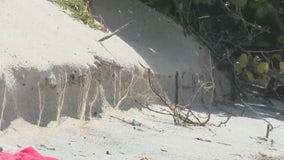 Renourishing the beaches after the storms