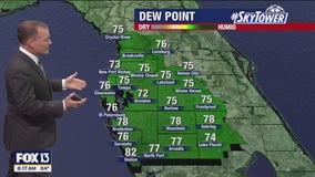 Tampa weather: Humid Sunday across Bay Area