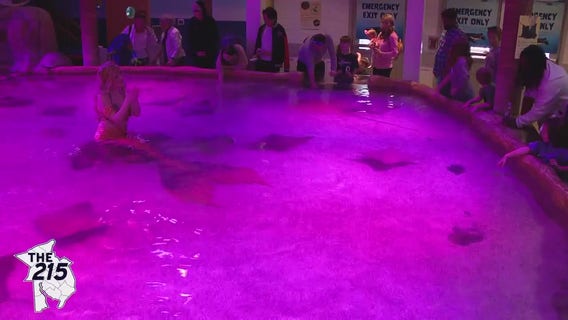 The 215: Wands and Wishes Mermaids, Honeysuckle Provisions, Children's Programs at the Penn Museum, Chef Ken, Andre Jones