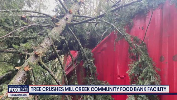 Tree crushes Mill Creek Community Food Bank