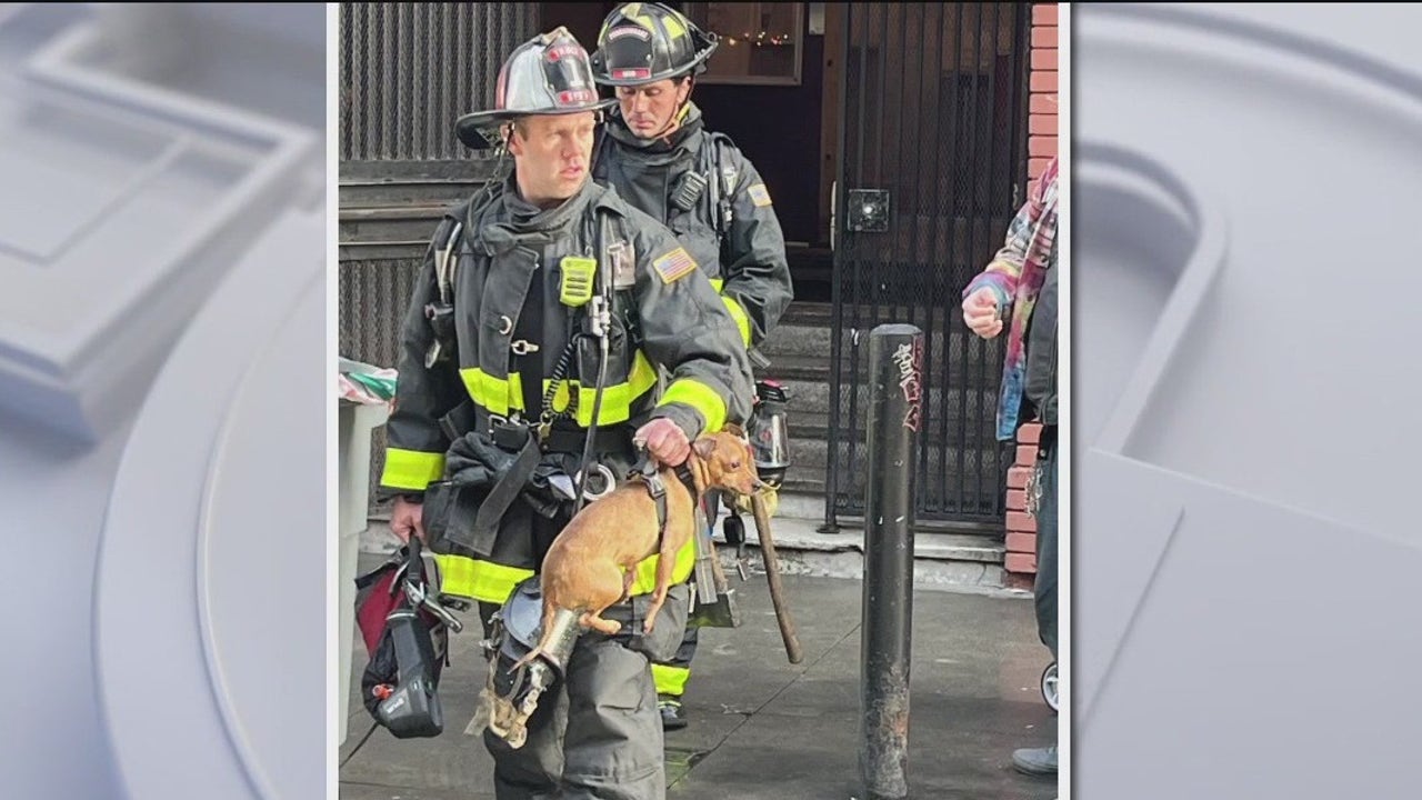 Battery catches fire while charging at San Francisco apartment, 2 dogs rescued