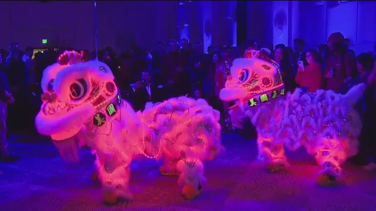 Chinese New Year Parades Celebrate Culture Across Cities