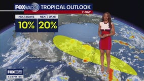 Tropical Update: Chance of tropical storm in Gulf