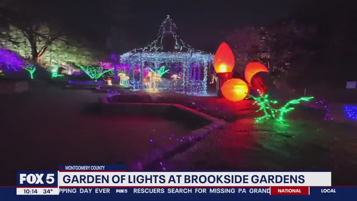 Garden of Lights brings festive holiday display to Wheaton