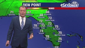 Tampa weather | hot and steamy with some storms