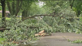 Beverly Hills hit hard by storms Thursday