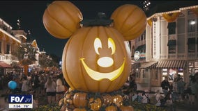 Need a vacation? Disneyland is now in the spooky spirit