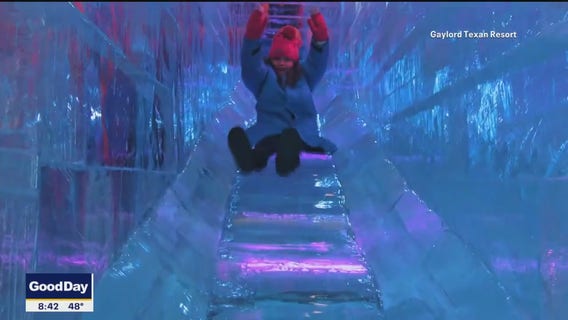 Rudolph's Arctic Adventure: ICE! at the Gaylord Resort