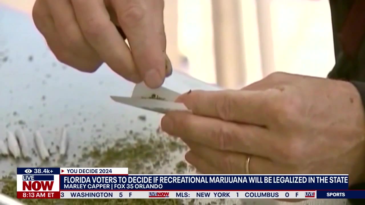 FL voters decide if recreational marijuana will be legalized in the state