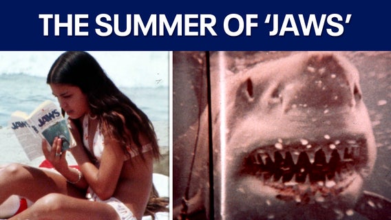 Map: Here's where the most shark attacks have happened