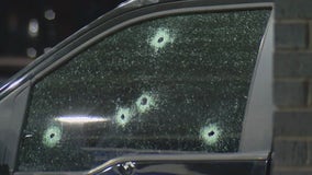 Truck in Sterling Heights riddled with bullets after shooting